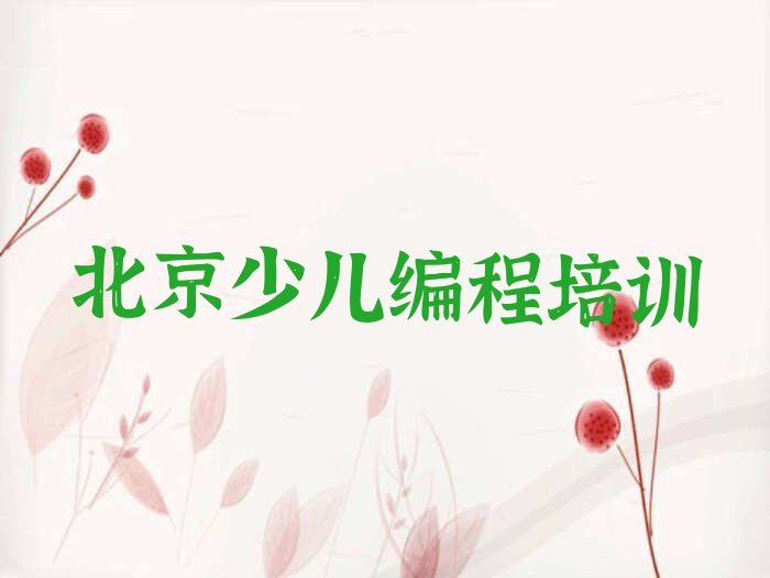 北京丰台区少儿编程培训班