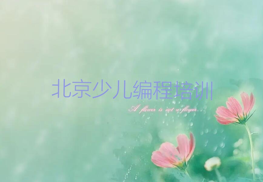 北京少儿编程培训学校