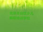 北京丰台区少儿编程一对一辅导真的有用吗实力名单一览排行榜