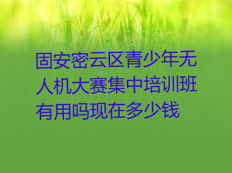 十大固安密云区青少年无人机大赛集中培训班有用吗现在多少钱排行榜
