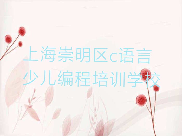 十大上海崇明区c语言少儿编程培训要多久排行榜