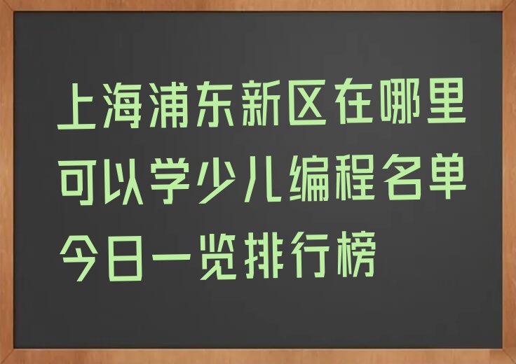 上海浦东新区少儿编程培训学校