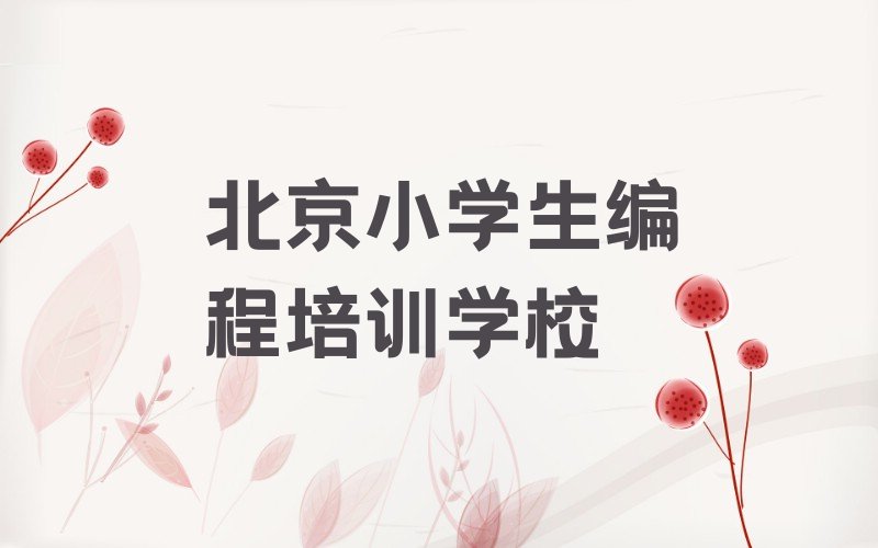 北京小学生编程培训学校