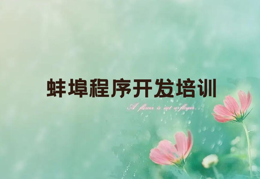 蚌埠淮上区少儿编程培训学校