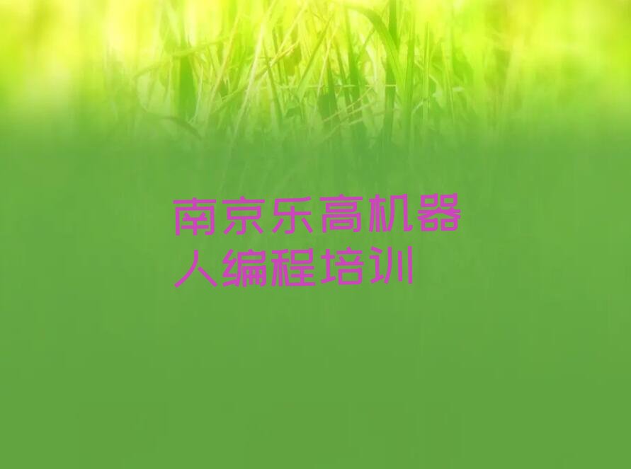南京溧水区少儿编程培训班