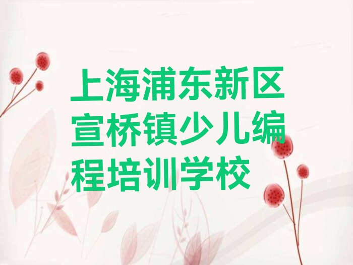 上海浦东新区宣桥镇少儿编程培训学校