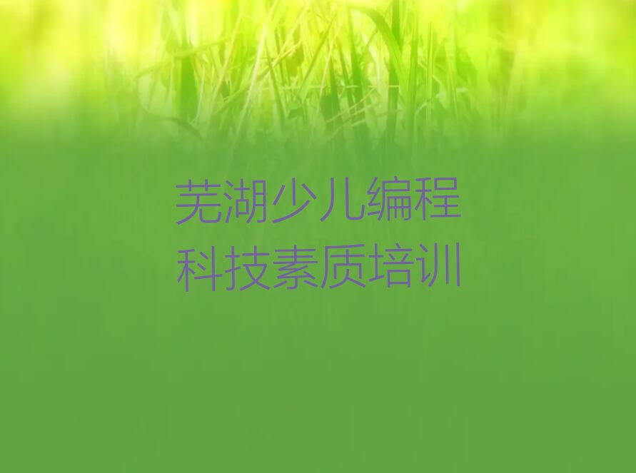 十大芜湖镜湖区少儿编程科技素质培训学校学费一般多少钱口碑排名排行榜一览表排行榜