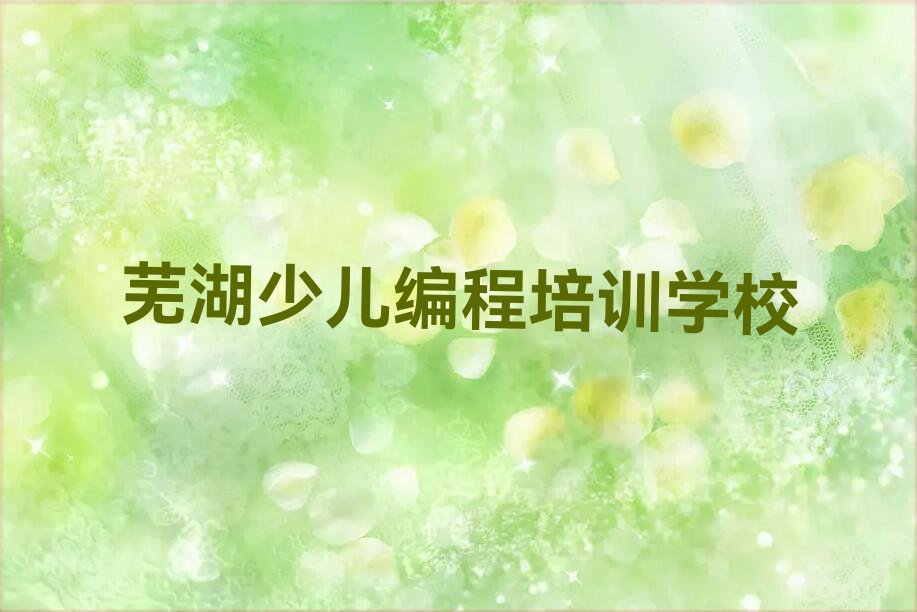 芜湖少儿编程培训学校