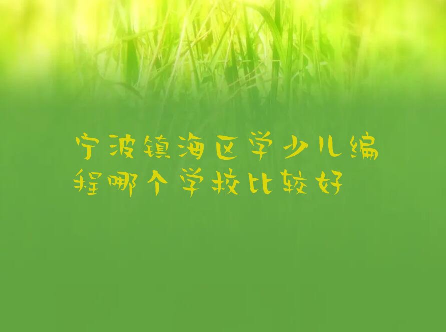 宁波镇海区招宝山街道少儿编程培训学校