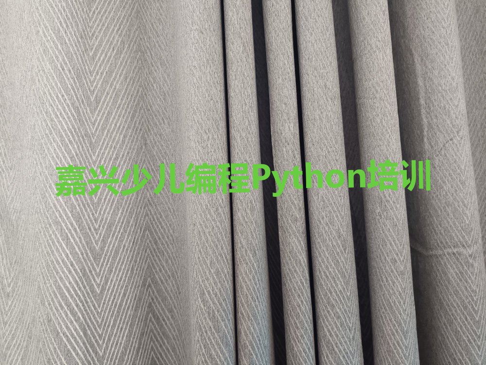 嘉兴秀洲区少儿编程培训中心