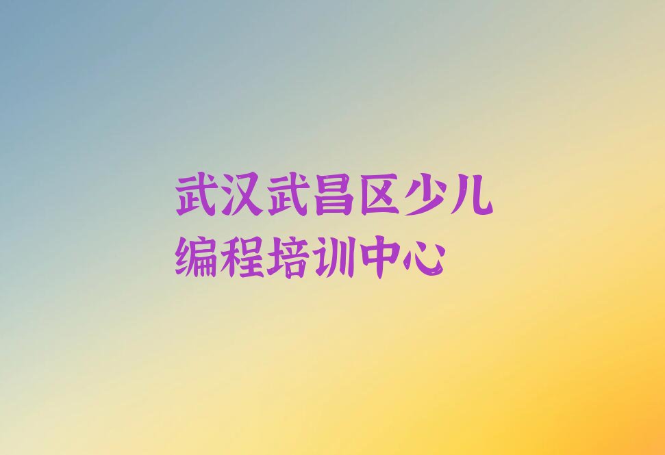 武汉武昌区少儿编程培训中心