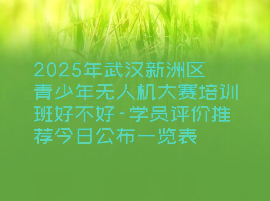 武汉新洲区道观河风景旅游管理处少儿编程培训学校