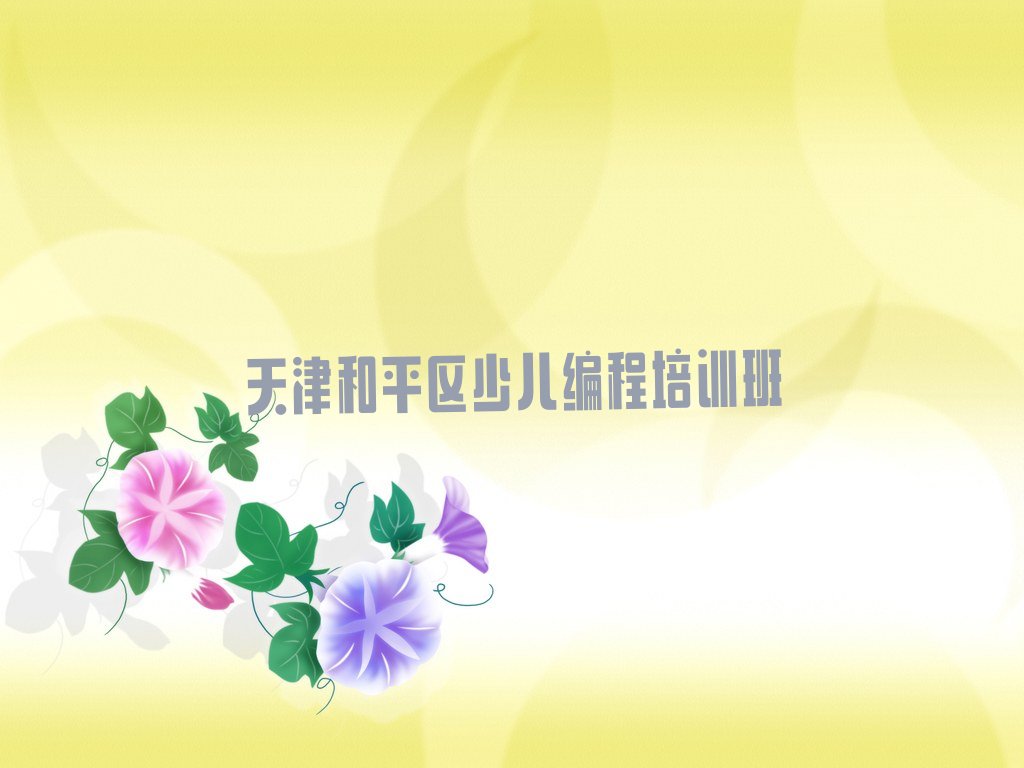 少儿AI机器人编程