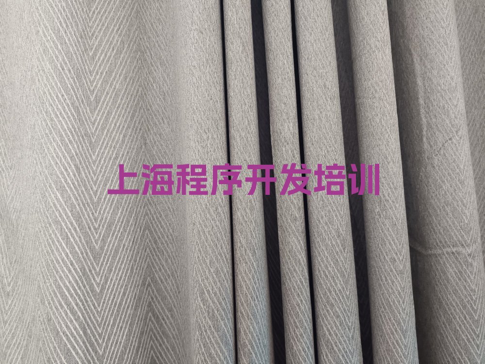 上海松江区少儿编程培训