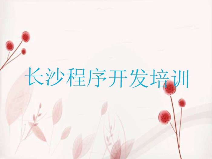十大长沙市Python人工智能全日制培训机构排行榜名单公布一览表排行榜