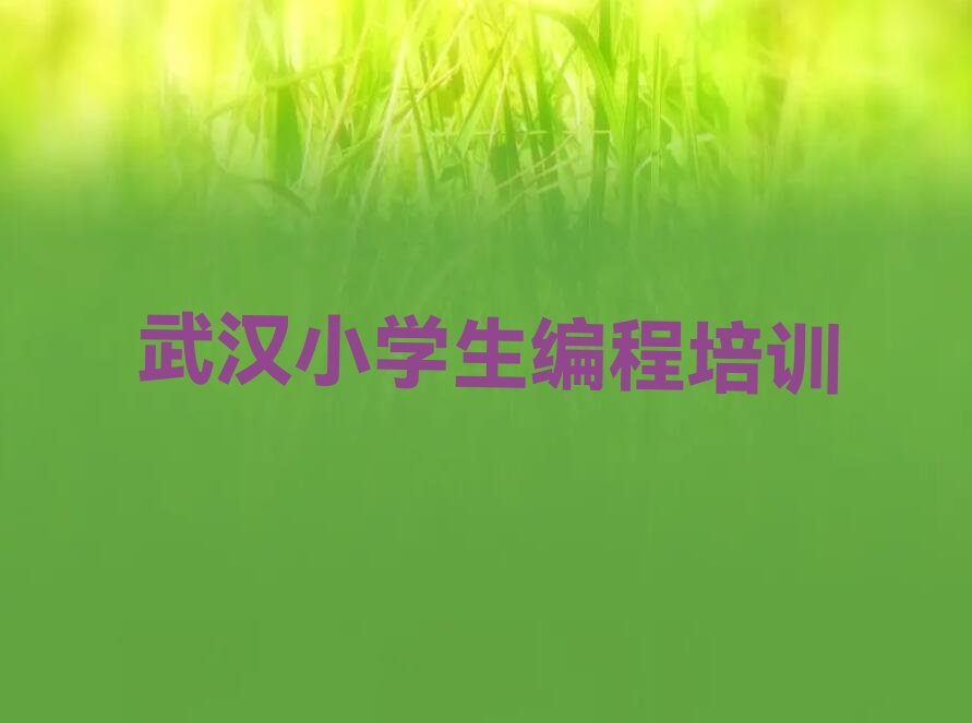 十大武汉洪山区小学生编程学习班学校榜单一览推荐排行榜排行榜