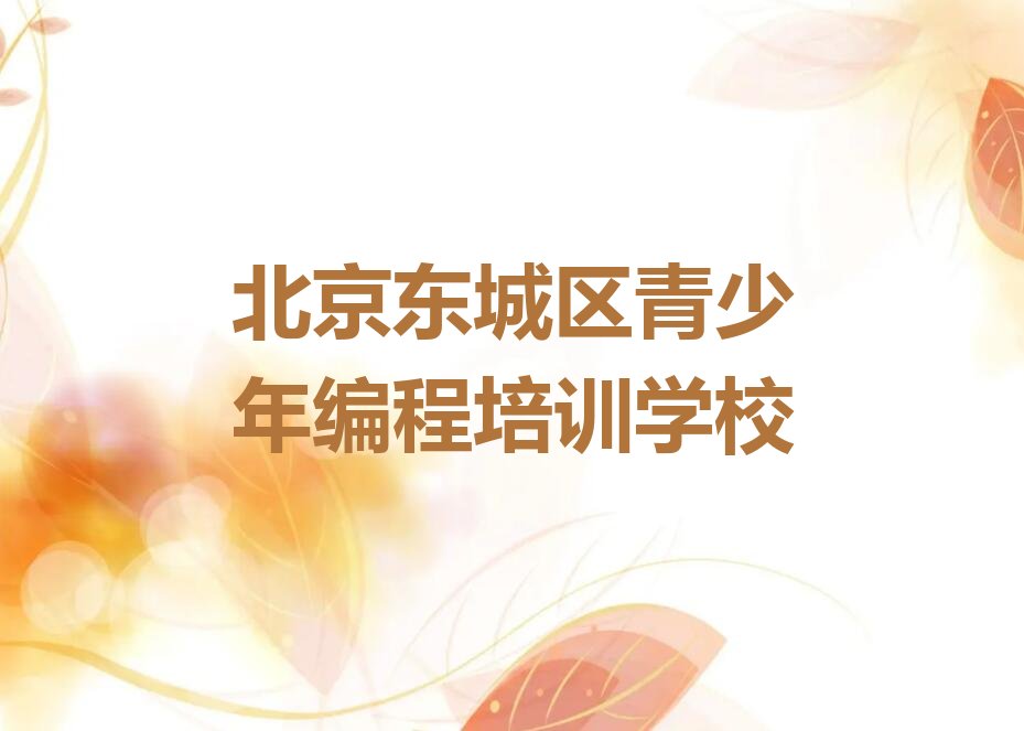 十大北京东城区青少年编程培训中心学校排行榜