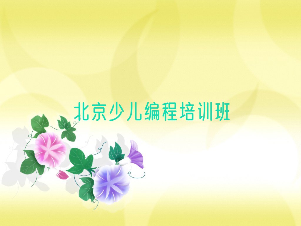 北京少儿编程培训班