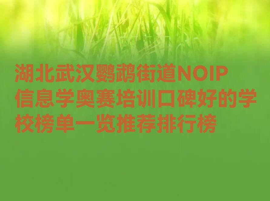 十大湖北武汉鹦鹉街道NOIP信息学奥赛培训口碑好的学校榜单一览推荐排行榜排行榜