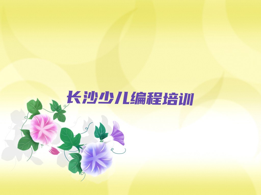 长沙芙蓉区马王堆街道少儿编程培训学校