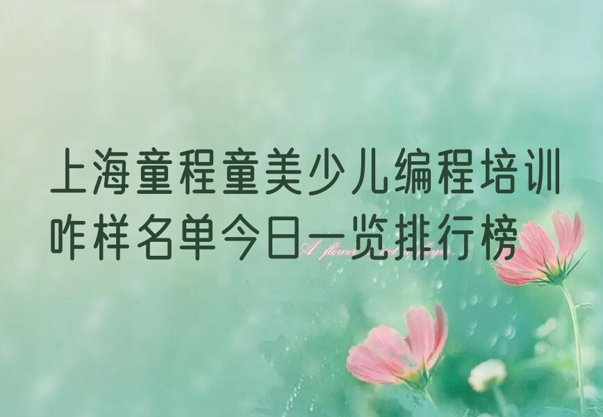 上海少儿编程培训中心