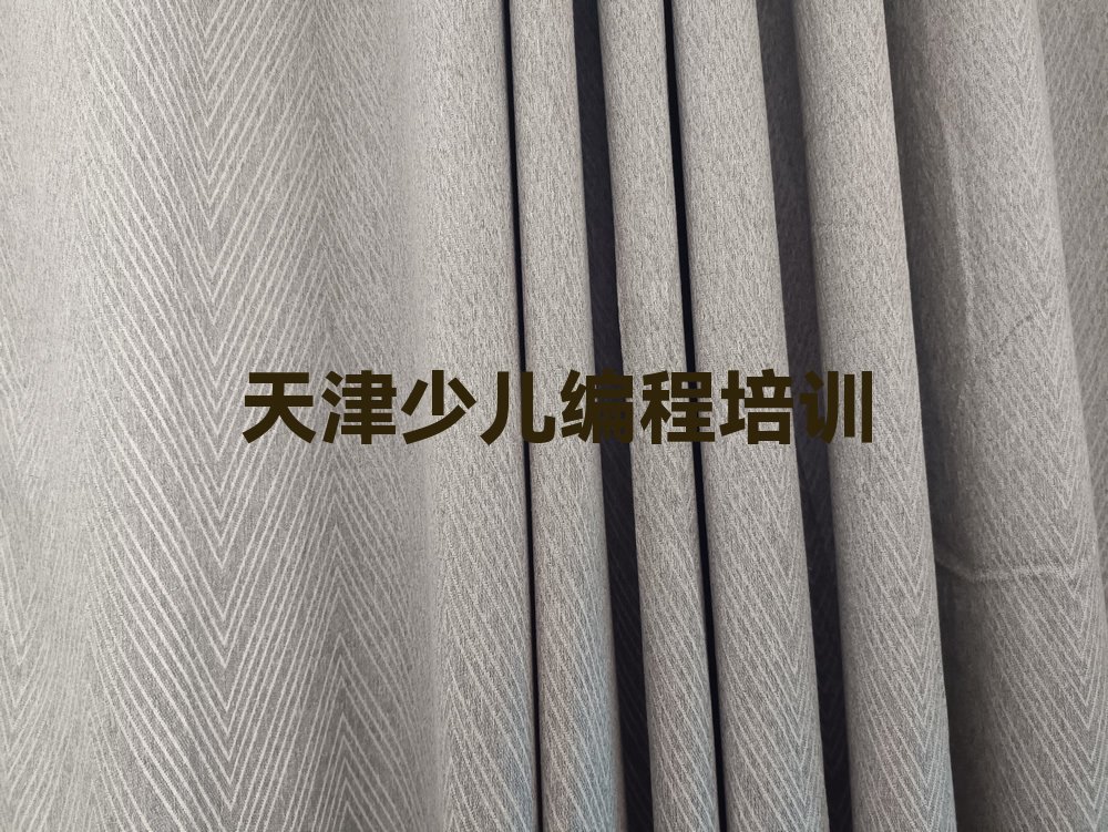 天津红桥区铃铛阁街道少儿编程培训学校