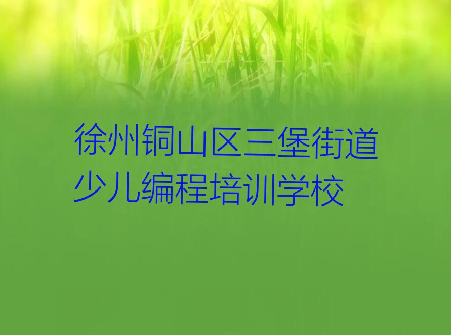 十大徐州中学生编程培训班在哪里十大排名一览排行榜排行榜