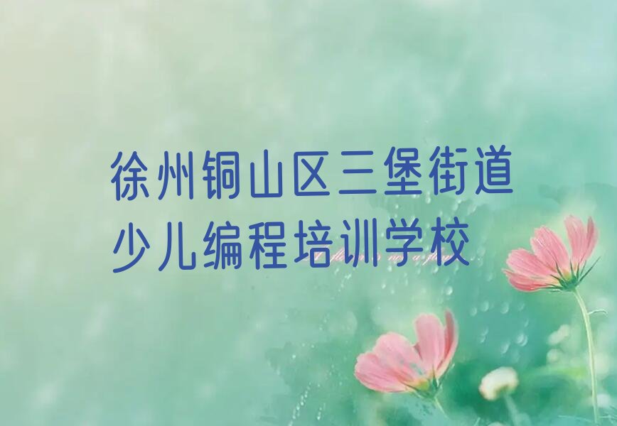 徐州铜山区三堡街道少儿编程培训学校