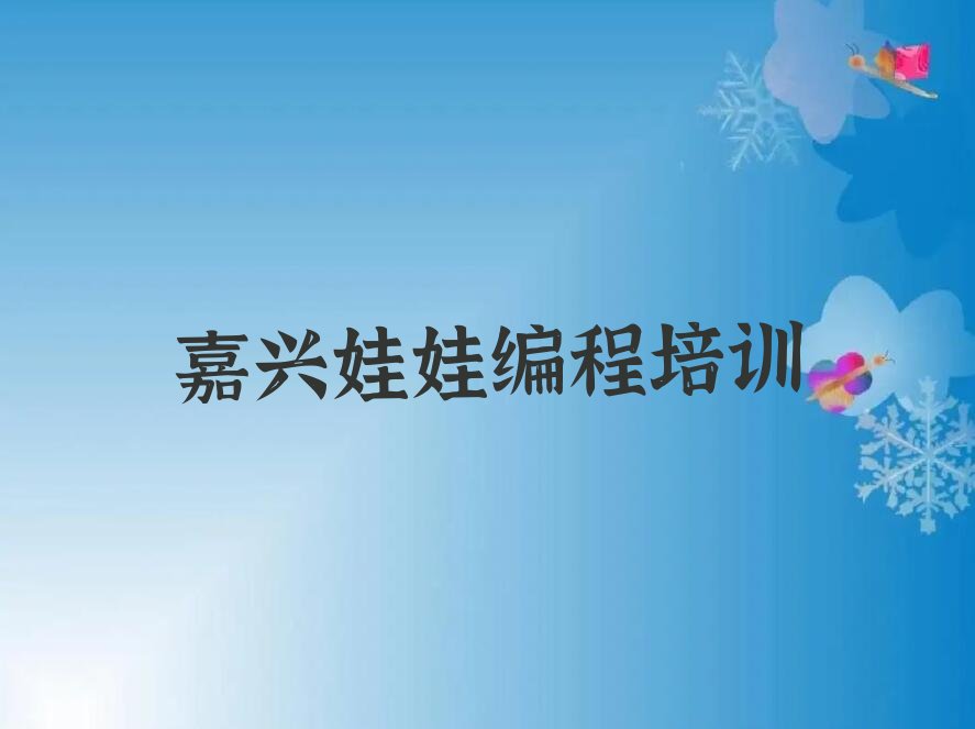 嘉兴秀洲区娃娃编程培训学校