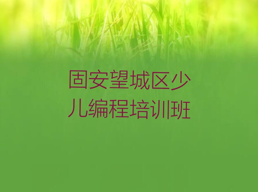 固安望城区少儿编程培训班