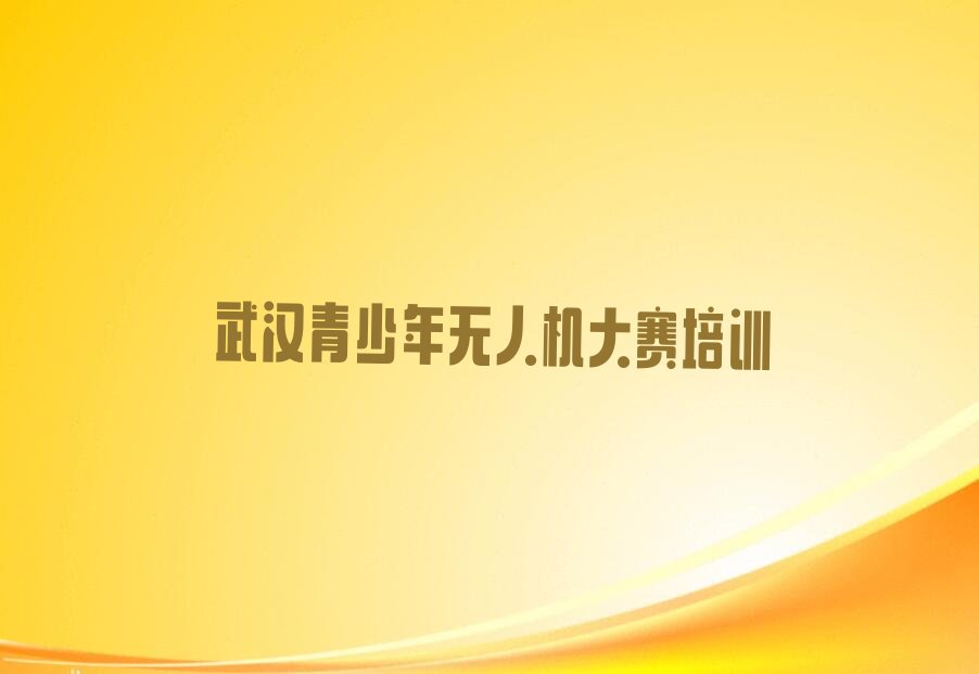 武汉东西湖区金银湖街道青少年无人机大赛培训学校