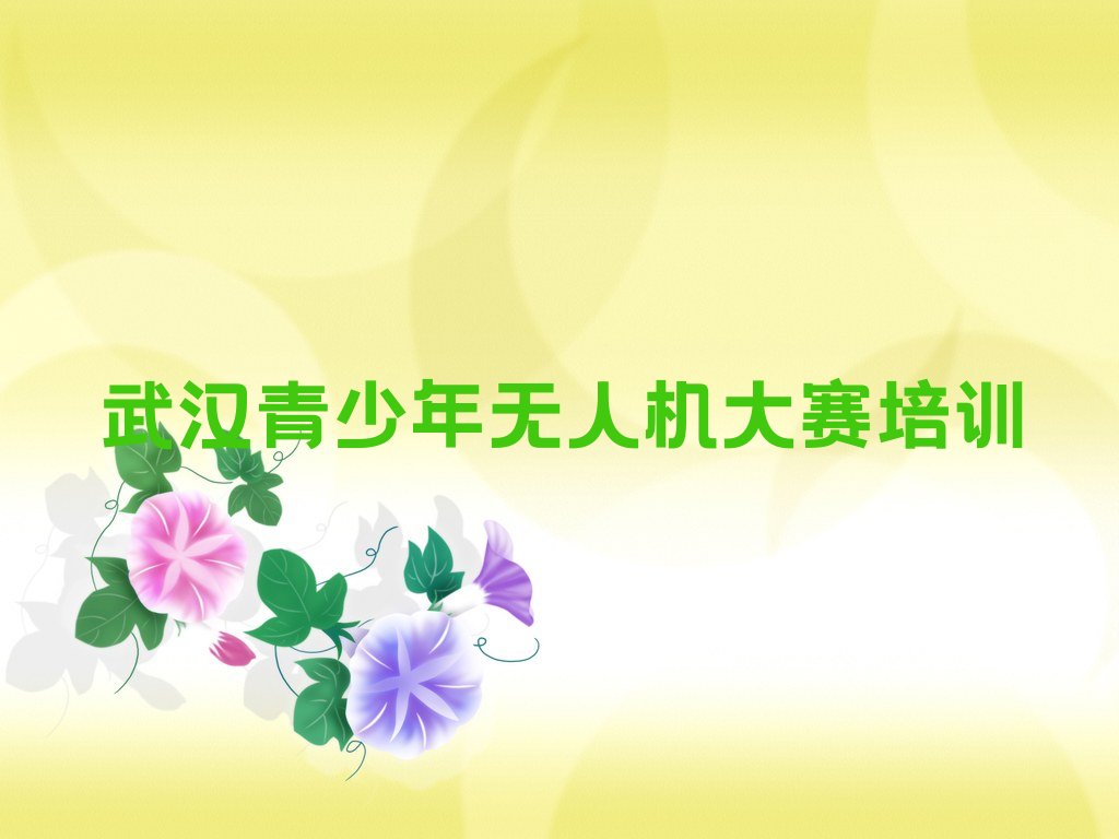 武汉东西湖区金银湖街道青少年无人机大赛培训学校