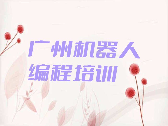 广州少儿编程培训学校