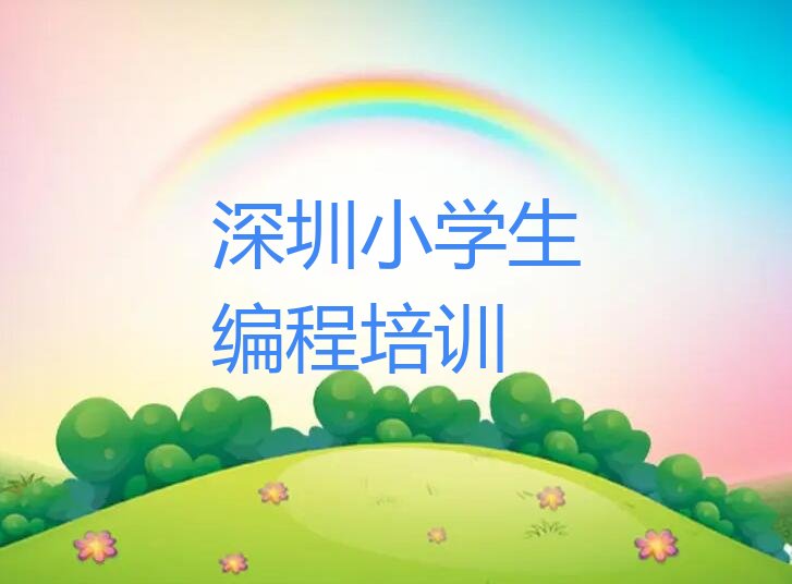 深圳盐田区盐田街道小学生编程培训学校