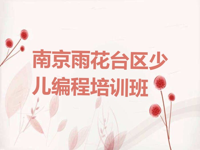 南京雨花台区少儿编程培训班