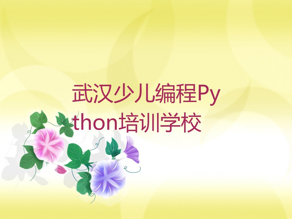 十大武汉东西湖区十大少儿编程Python排名排行榜