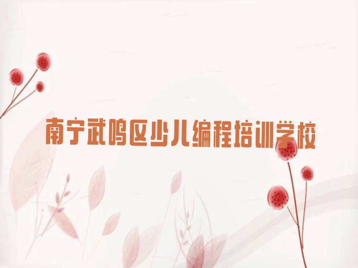 南宁武鸣区少儿编程培训学校