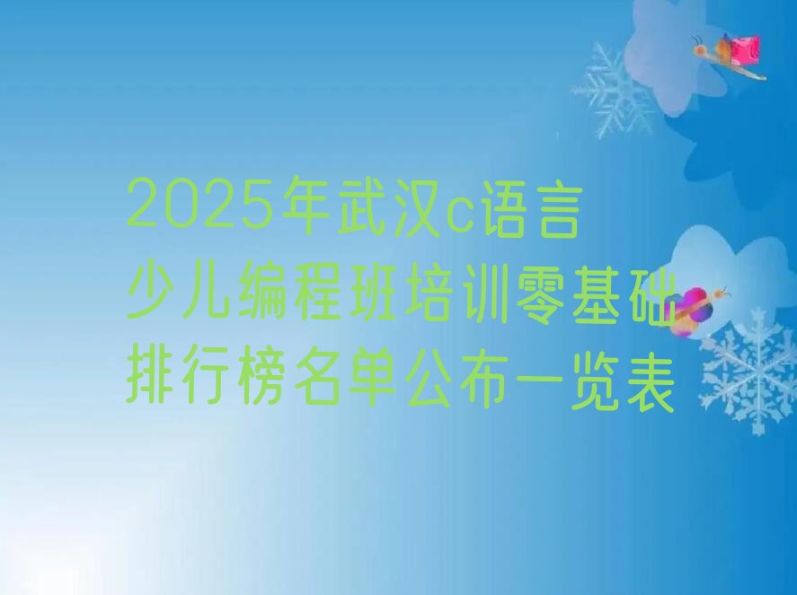 武汉洪山区c语言少儿编程培训学校