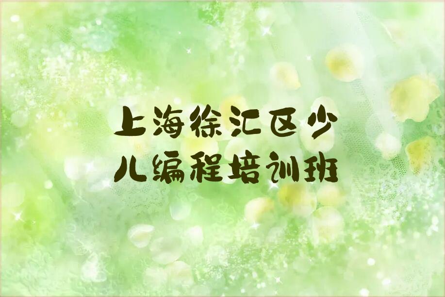 上海徐汇区少儿编程培训班