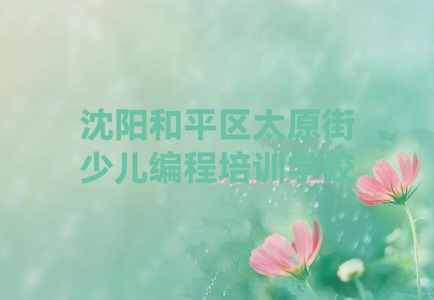 沈阳和平区太原街少儿编程培训学校