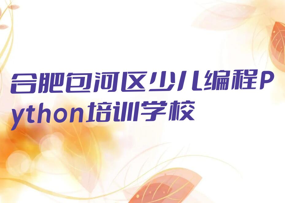 合肥包河区少儿编程Python培训学校