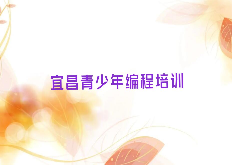宜昌猇亭区虎牙街道青少年编程培训学校