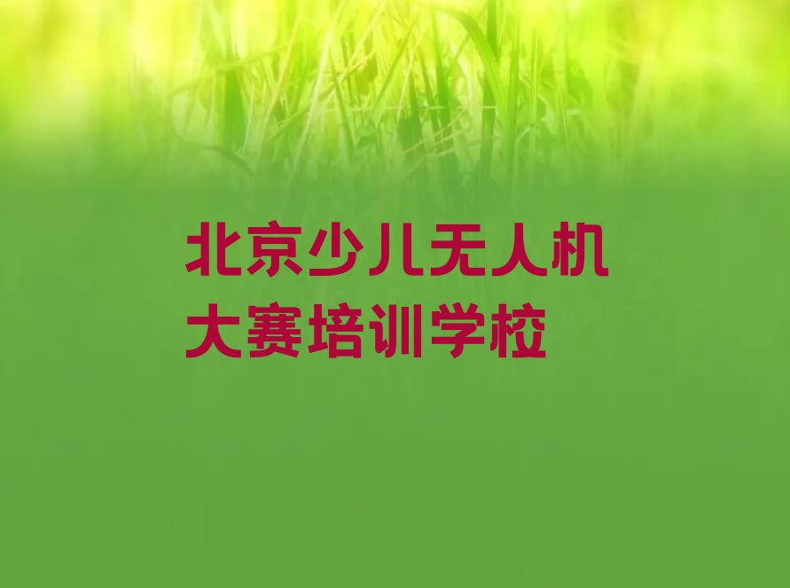 北京少儿无人机大赛培训学校