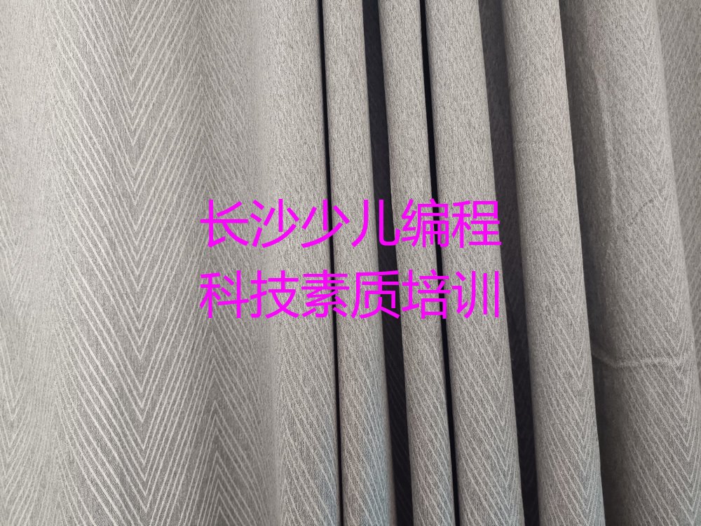 长沙岳麓区望岳街道少儿编程科技素质培训学校