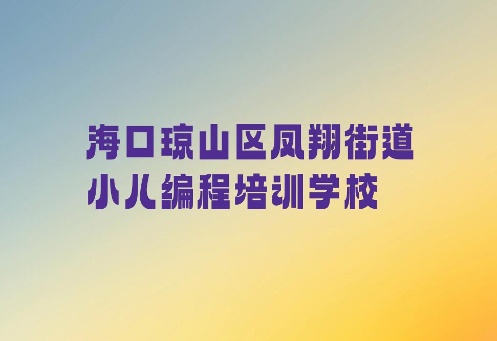 海口琼山区凤翔街道小儿编程培训学校