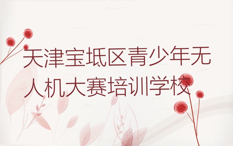 天津宝坻区青少年无人机大赛培训学校