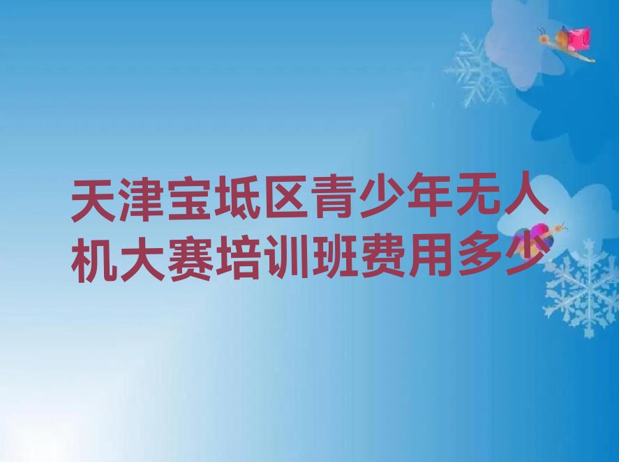 天津宝坻区青少年无人机大赛培训学校