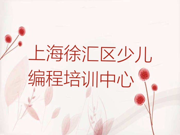 上海徐汇区少儿编程培训中心