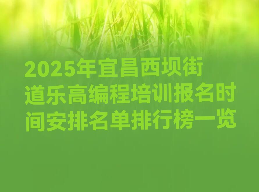 宜昌西陵区少儿编程培训班