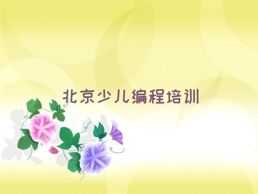 北京东城区龙潭街道少儿编程培训学校